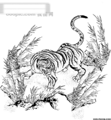 凶猛动物老虎凶猛的虎线描线条老虎野生动物草丛矢量素材