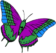 昆虫蝴蝶0768