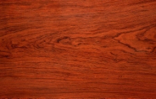 木材木纹材质树纹材质图片