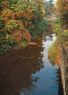 加拿大野外秋景河流图片