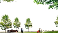广场绿化环境设计099图片
