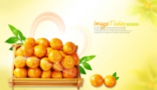 甜蜜香橙图片