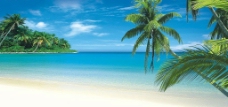 秀丽大自然风景湛蓝海天椰树图片