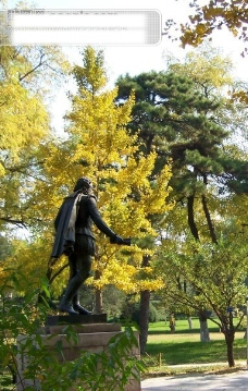 PSD雕塑1秋天阳光雕塑金黄的秋叶1