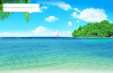 秀丽大自然风景夏日海滩椰树图片